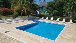 Outdoor pool, sun loungers