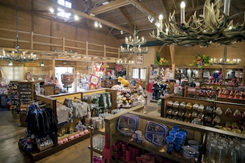 Disney S Davy Crockett Ranch Reviews Photos Rates Ebookers Com