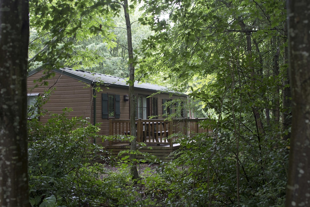 Room, Disney Davy Crockett Ranch