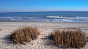 Am Strand, Surfen/Boogieboarden