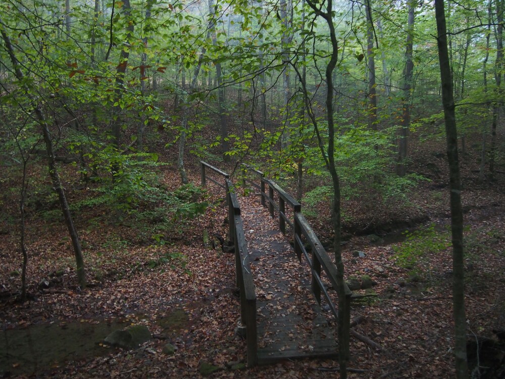 gays creek kentucky Change of sex operations