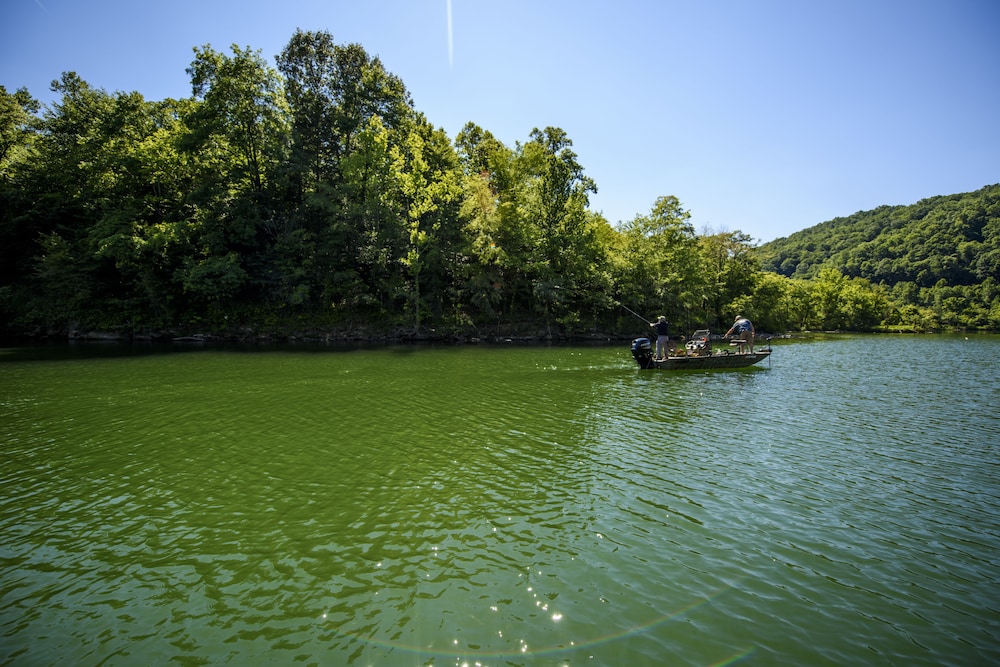 Buckhorn Lake State Resort Park in Gays Creek Best Rates & Deals on