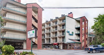 Oak Square Rentals