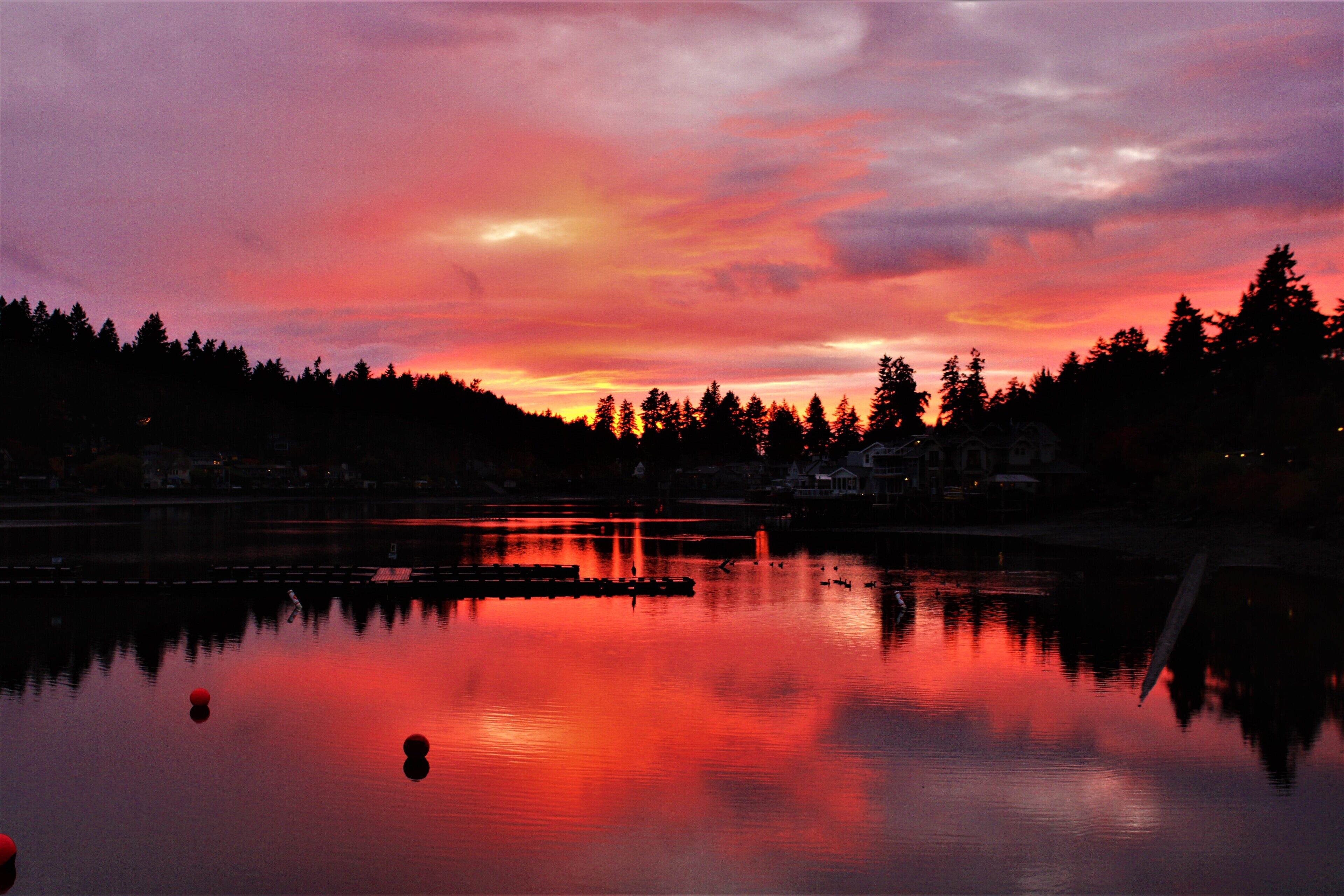 Lakeshore Inn in Lake Oswego, United States