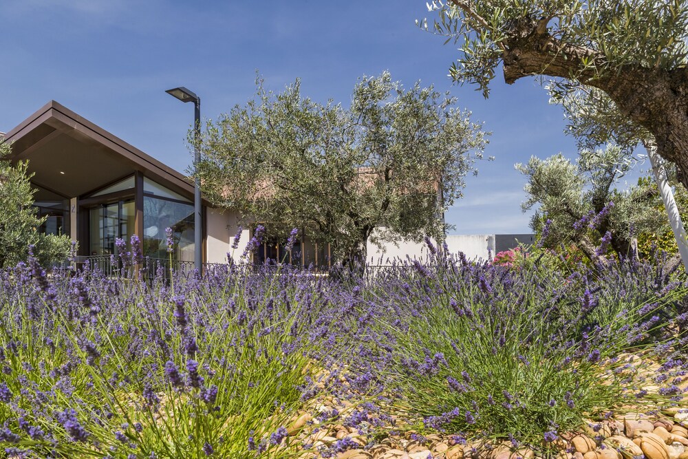 Terre de Provence Hôtel & Spa in Le Pontet  Best Rates & Deals on Orbitz