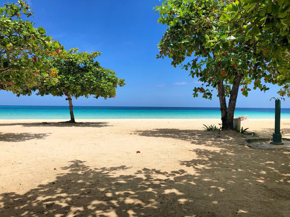 Negril Beach Club, Negril Room, Prices & Reviews Travelocity
