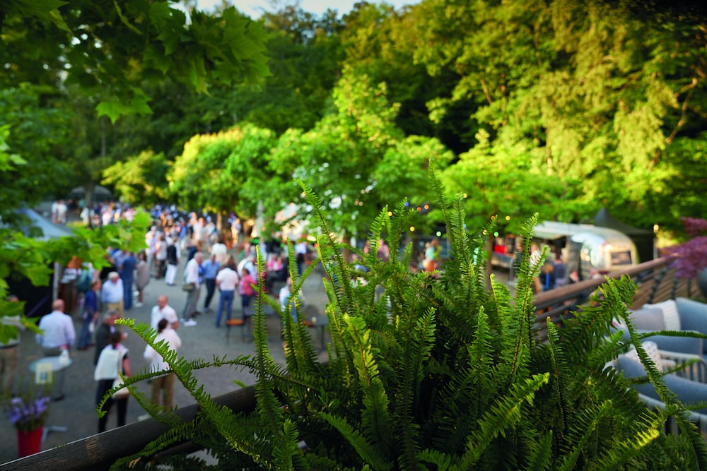 Foto - Sorell Hotel Rigiblick - Studios & Spa Suites