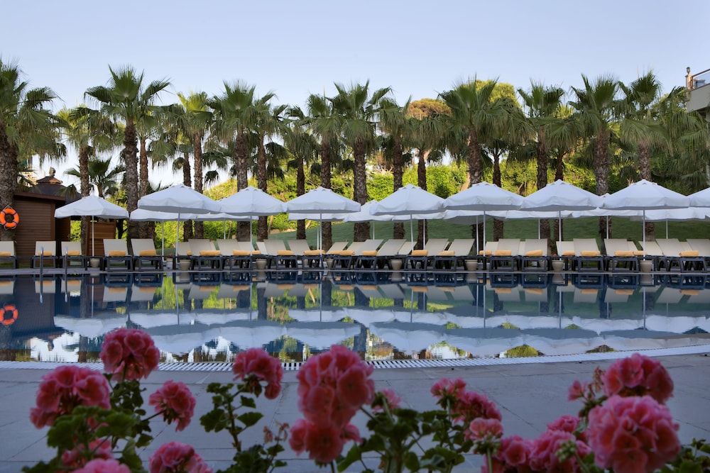 Outdoor pool, Papillon Zeugma Relaxury