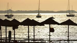 Plage à proximité, chaises longues, parasols, serviettes de plage