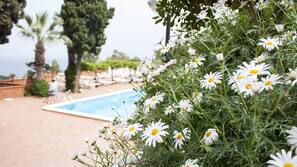 Seasonal outdoor pool, pool umbrellas, pool loungers