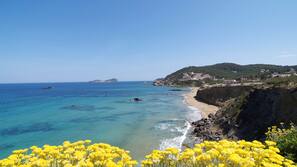 Ubicación a pie de playa