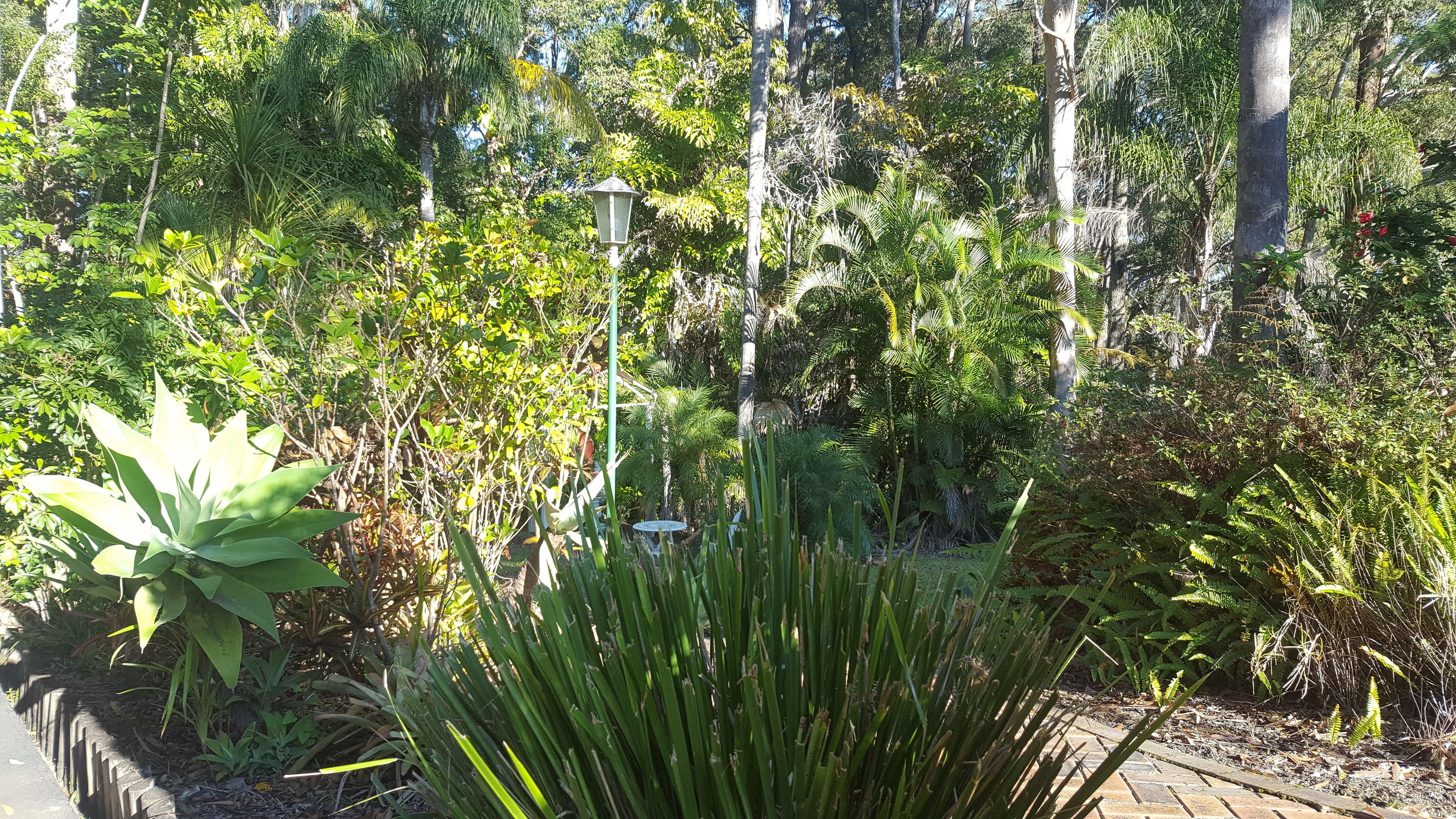 Coffs Harbour Sanctuary Resort