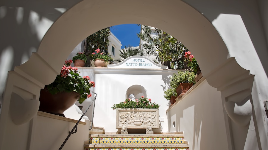 Gatto Bianco Hotel & SPA