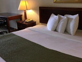 Sawgrass Inn Conference Center Reviews Photos Rates