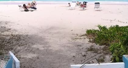 Nautilus Beach Apartments