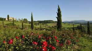 Vista dalla camera