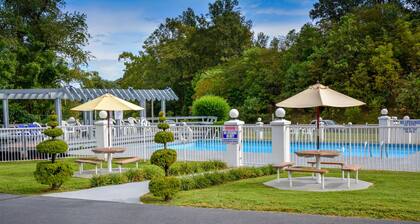 Carolina Motel