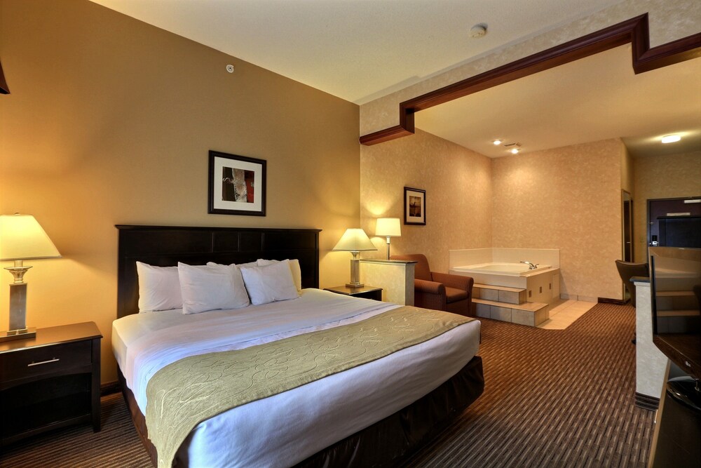 Comfort Suites Grand Rapids North In Comstock Park Cheap Hotel