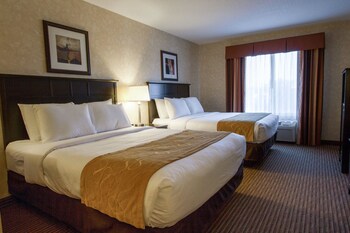 Comfort Suites Grand Rapids North Grand Rapids 2020 Room Prices