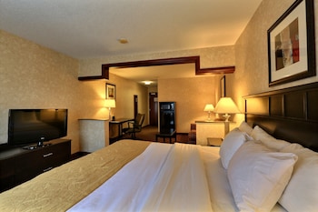 Comfort Suites Grand Rapids North Grand Rapids 2020 Room Prices