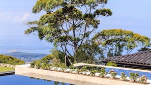 Outdoor pool, an infinity pool, free cabanas, pool umbrellas