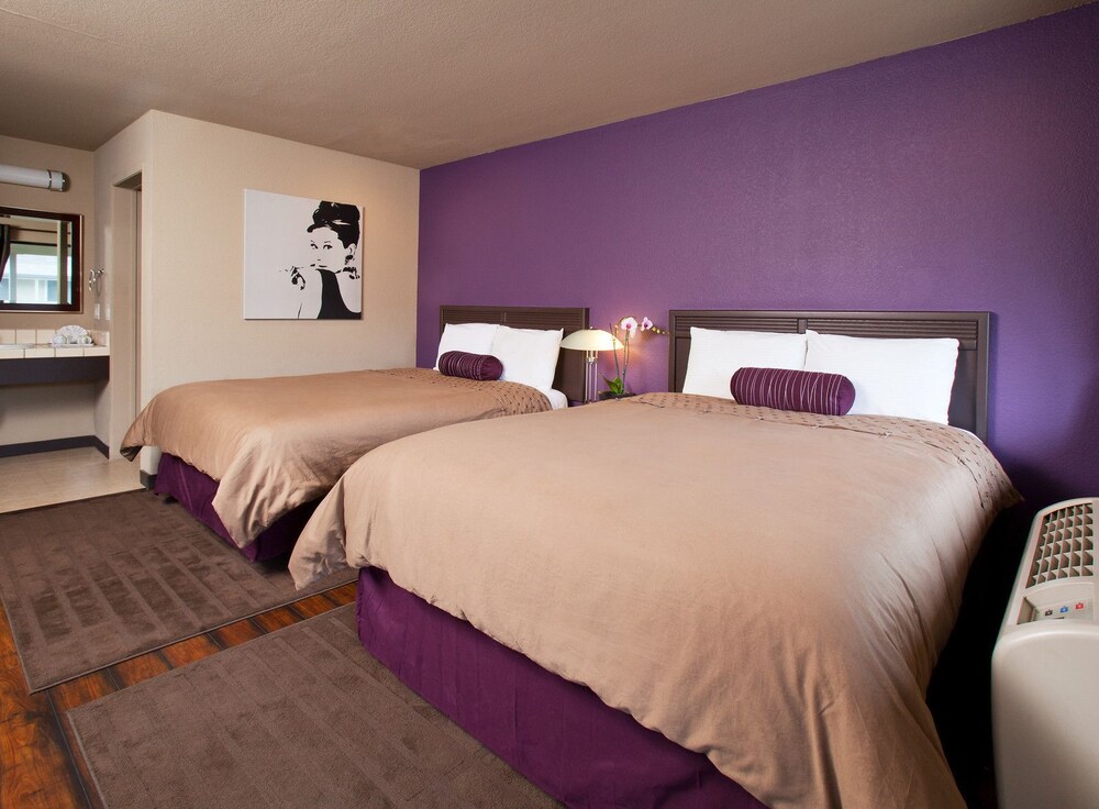 Alura Inn Hotel San Jose Alura Inn Hotel San Jose