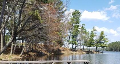 Black Bear Lodge