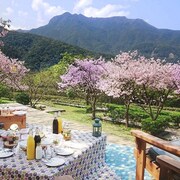 台北の温泉のあるホテル 台湾 エクスペディア 台北の温泉のあるホテル 台湾 エクスペディア