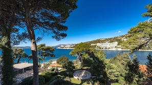 Vista dalla camera