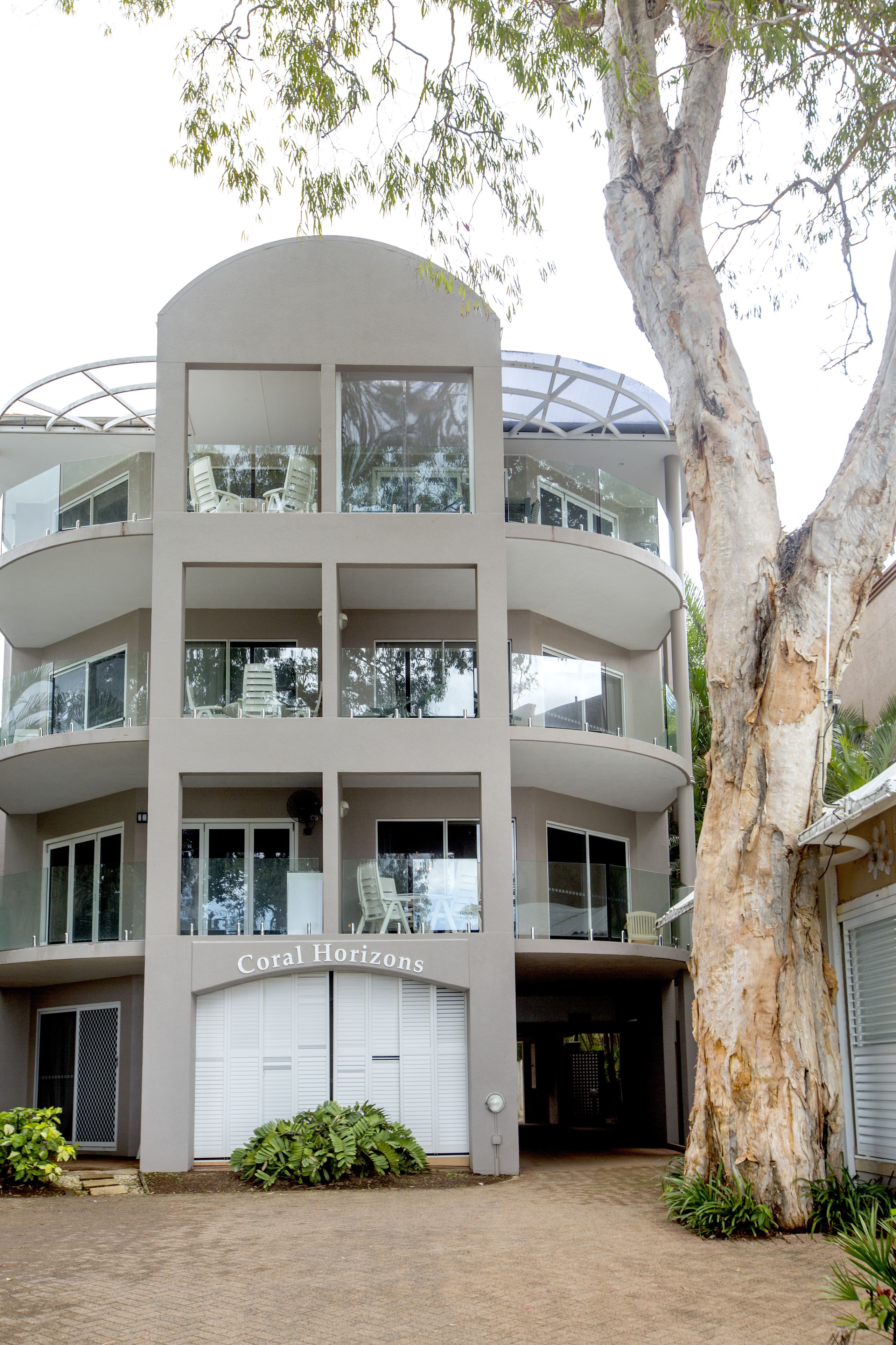 Coral Horizons