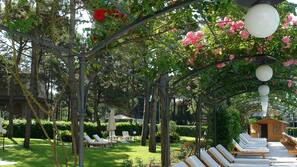 Seasonal outdoor pool, pool umbrellas, pool loungers
