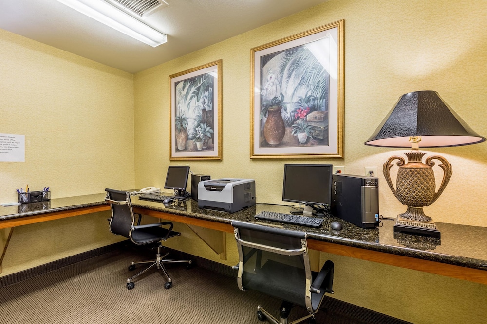 Business center, Sleep Inn & Suites Stafford - Sugarland