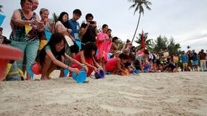 Beach nearby, white sand, sun-loungers, beach towels