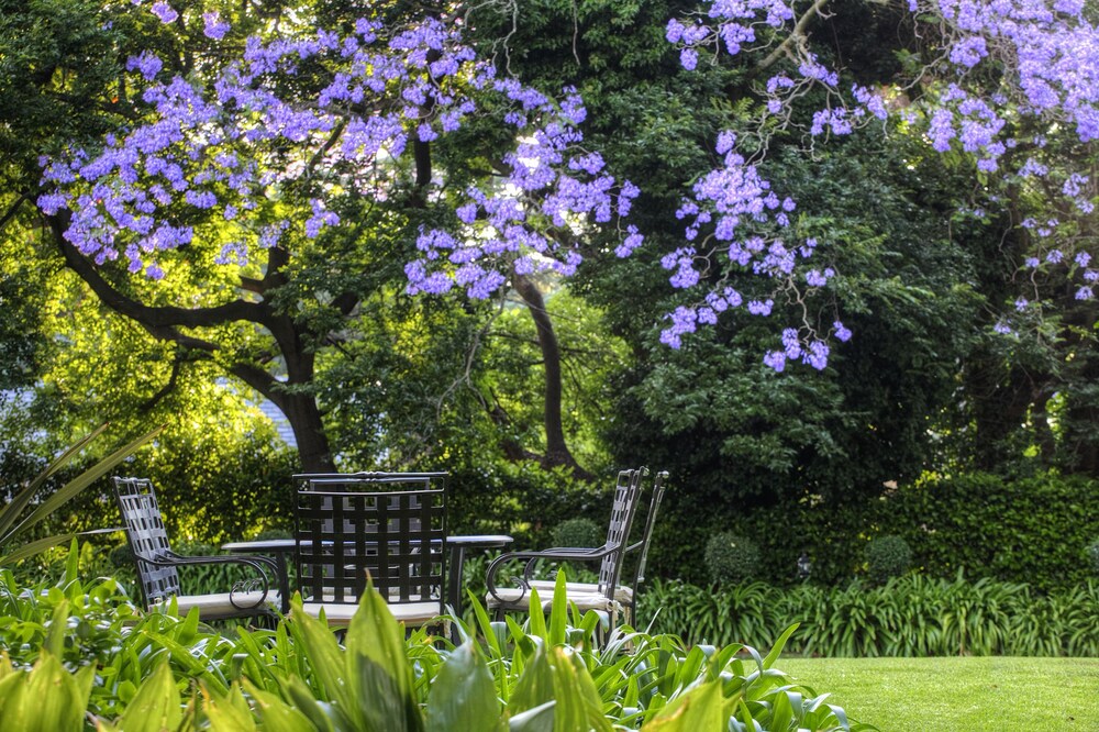 Foto - 10 2nd Avenue Houghton Estate by Dream Resorts