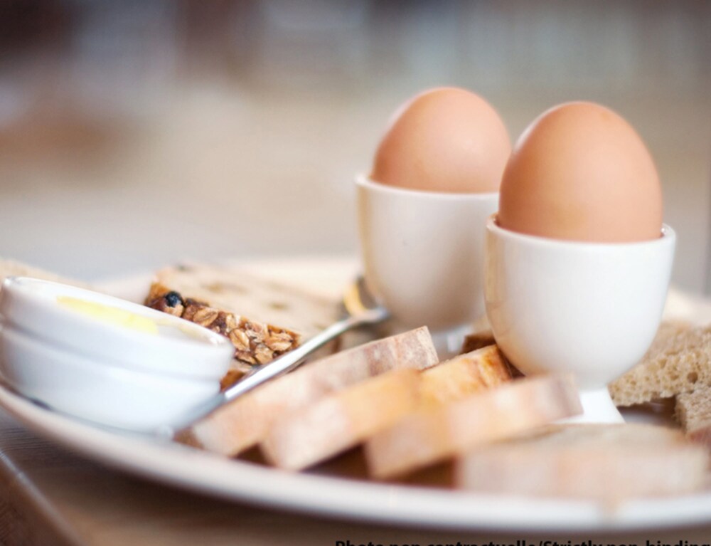 ibis Guadalajara Expo