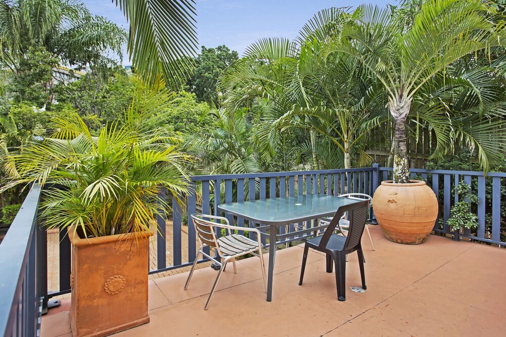 City Palms Brisbane