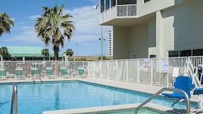 Outdoor pool, sun loungers