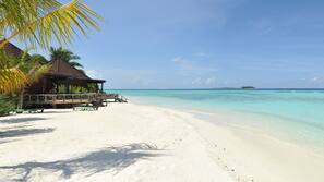 Beach nearby, white sand, beach towels, windsurfing