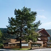 Hotels Near Hasenlift In Mellau From 92 Ebookers Com