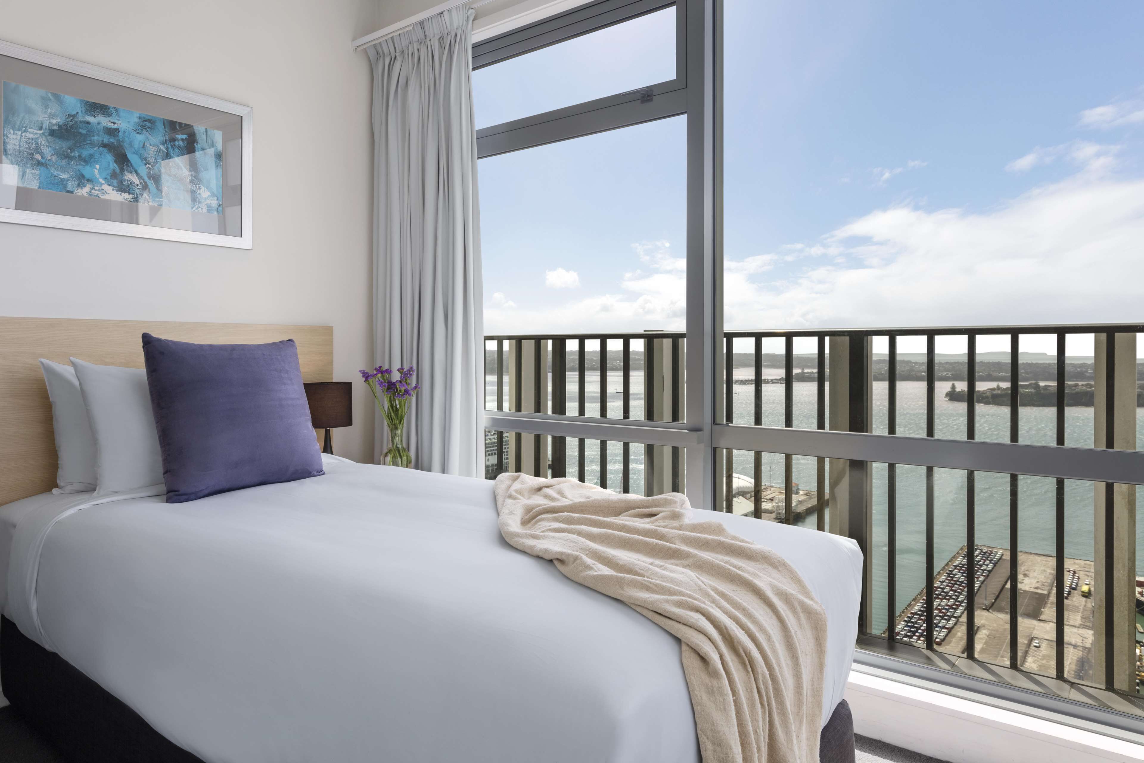 Auckland Harbour Oaks