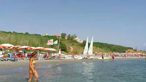 Plage privée, chaises longues, parasols, bar de plage