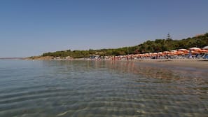 Plage privée, chaises longues, parasols, bar de plage
