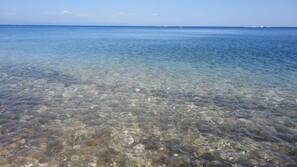 Una spiaggia nelle vicinanze