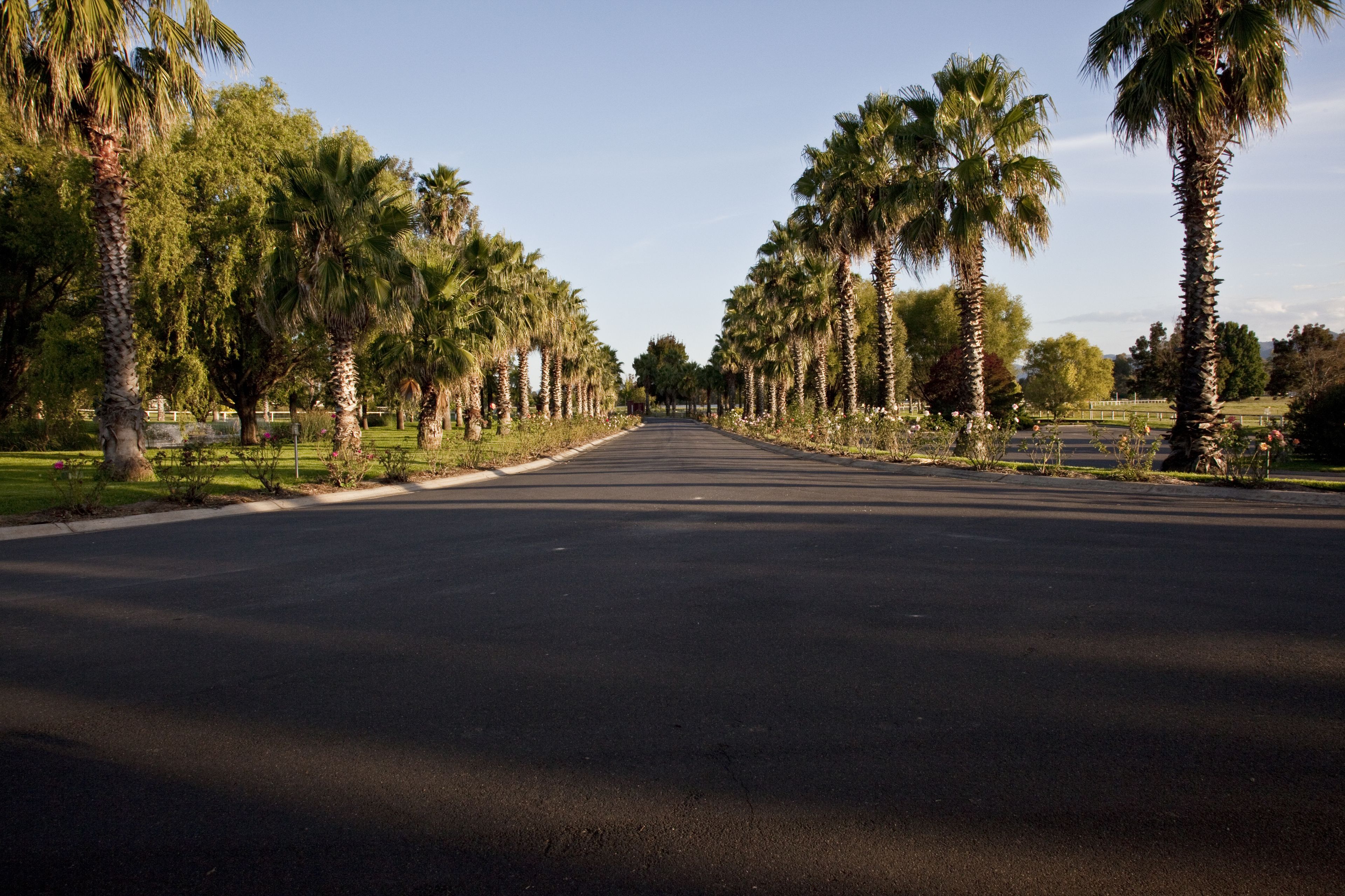 Parklands Resort & Conference Centre