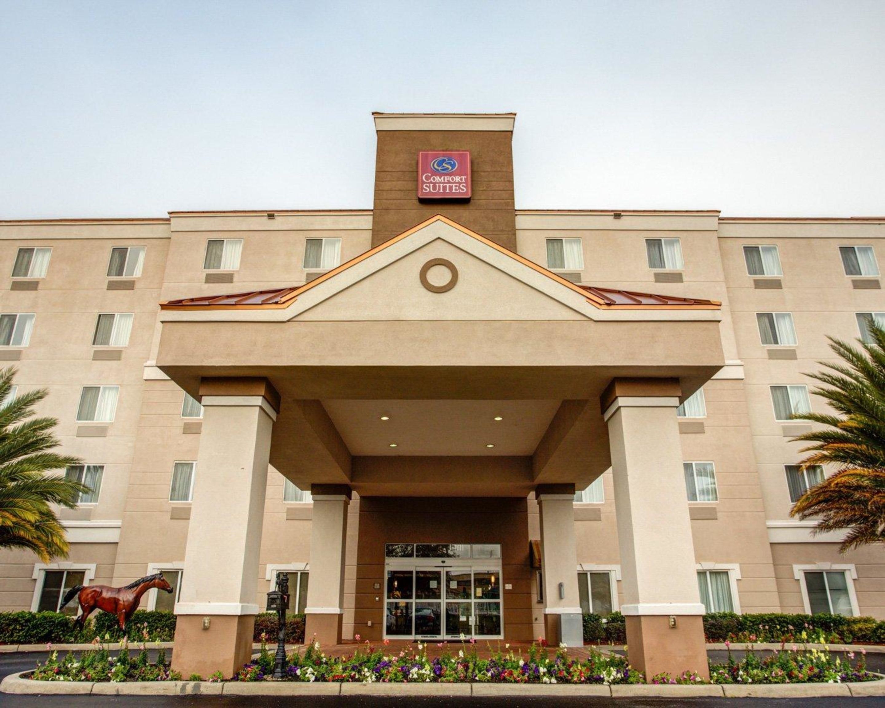 Comfort Suites Ocala North In Ocala Fl Expedia