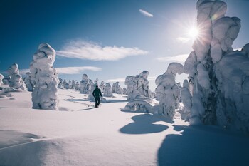 Trivago Palkitsi Taas Rovaniemen Arctic Light On Jalleen Suomen Paras