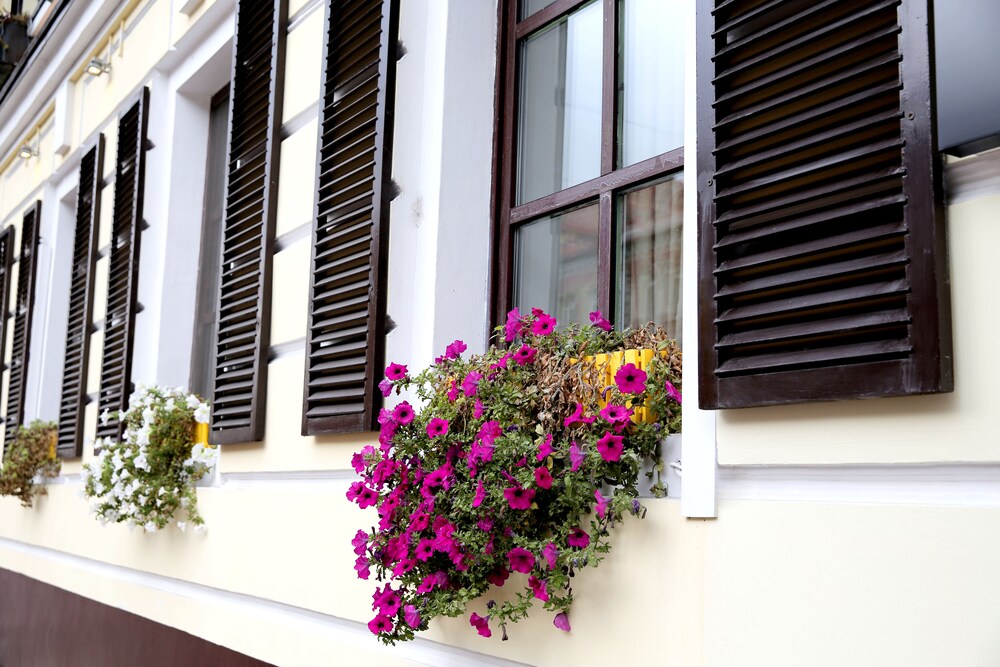 Foto - Number 21 by DBI