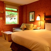 The Fox Hotel and Suites  2018 Pictures  Reviews  Prices Deals