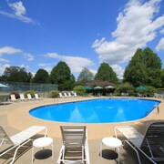 Pet Friendly Hotels In Ogunquit Wells Dog From Majestic Regency