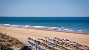 Ubicación cercana a la playa, toallas de playa y 3 bares en la playa